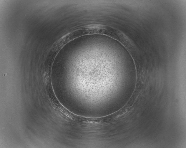 X0000078860821200611201311