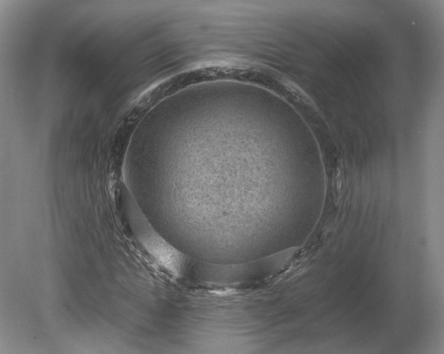 X0000078860822200611201311