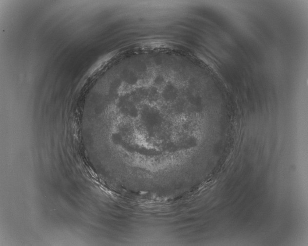 X0000078860823200611201311