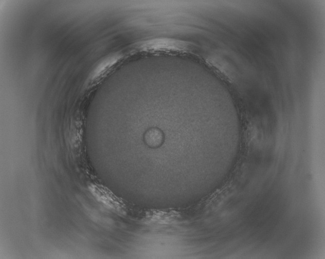 X0000078860824200611201311