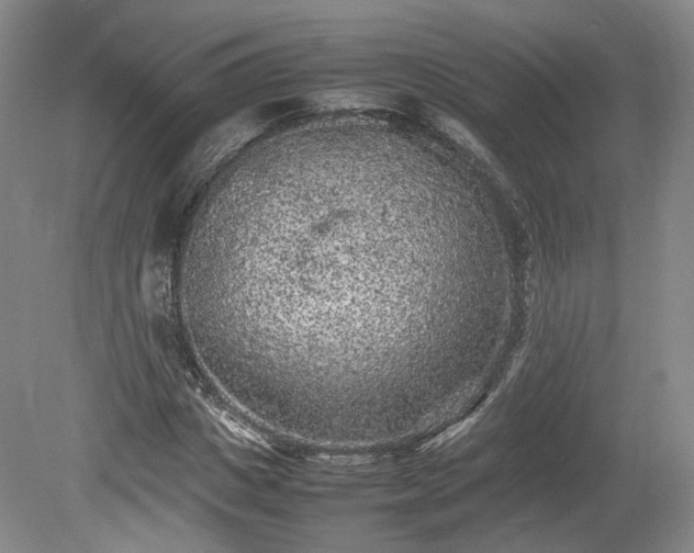 X0000078860825200611201311