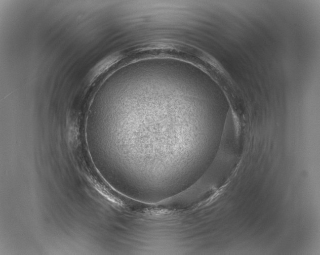 X0000078860826200611201311