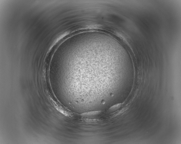 X0000078860827200611201311