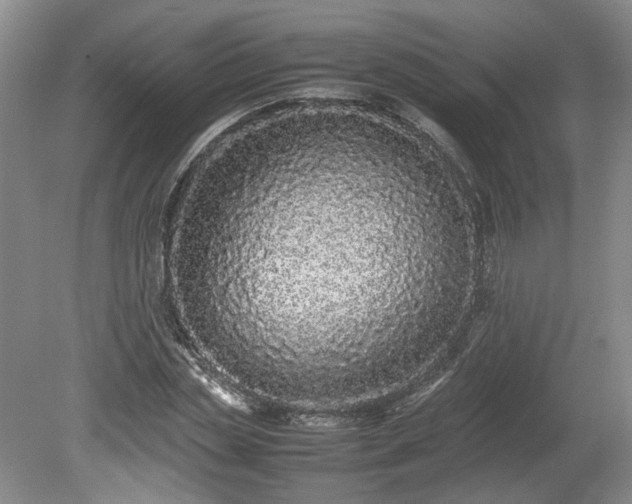 X0000078860829200611201311