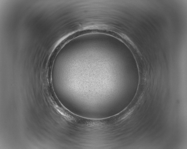 X0000078860830200611201311