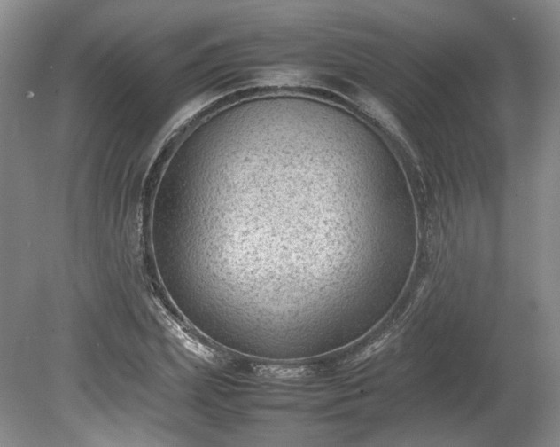 X0000078860831200611201311