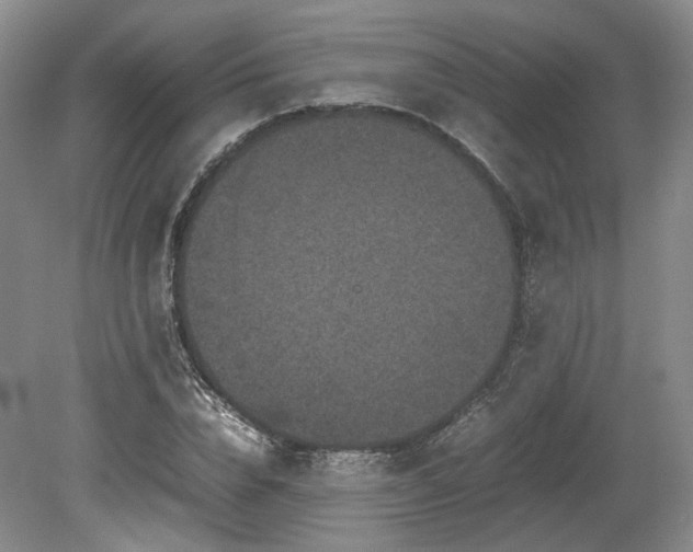 X0000078860832200611201311