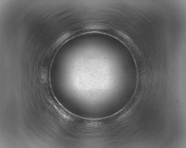 X0000078860833200611201311