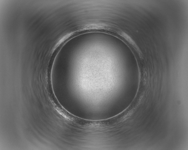 X0000078860834200611201311