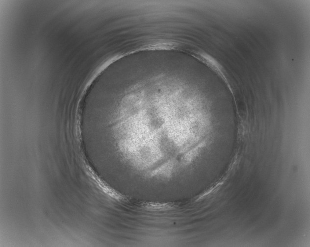 X0000078860835200611201311