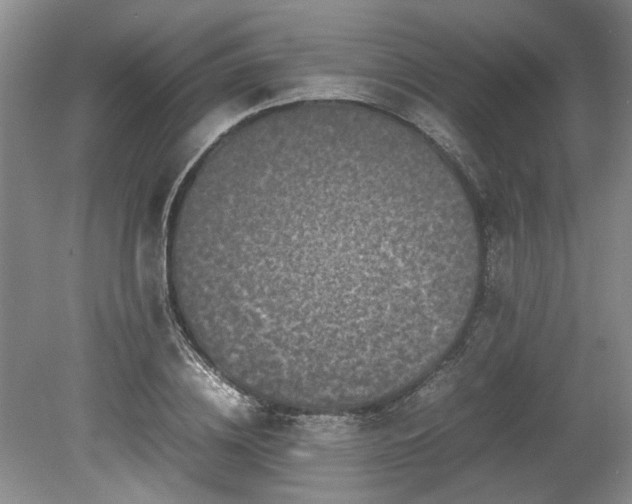 X0000078860836200611201311