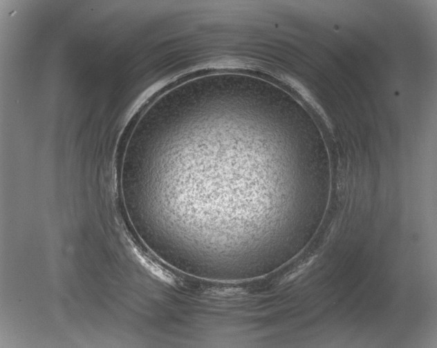 X0000078860837200611201311