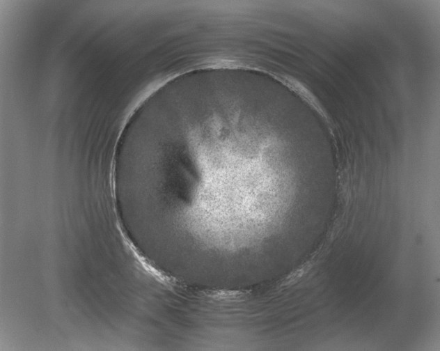 X0000078860839200611201311