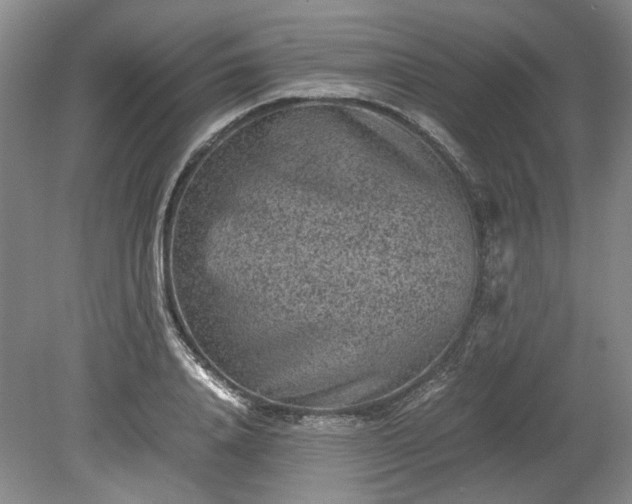 X0000078860840200611201311