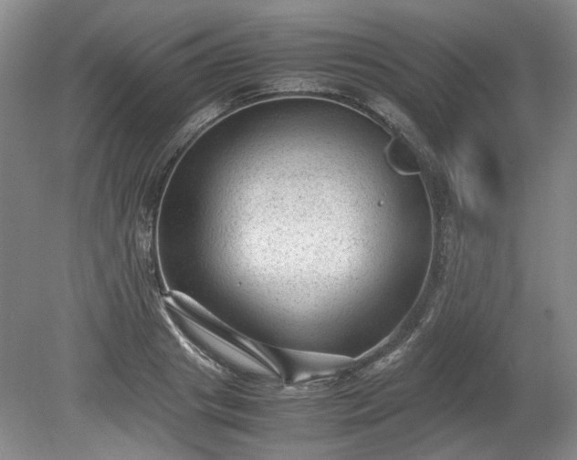 X0000078860841200611201311