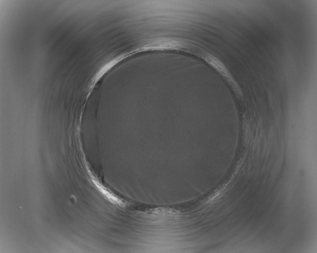 X0000078860842200611201311