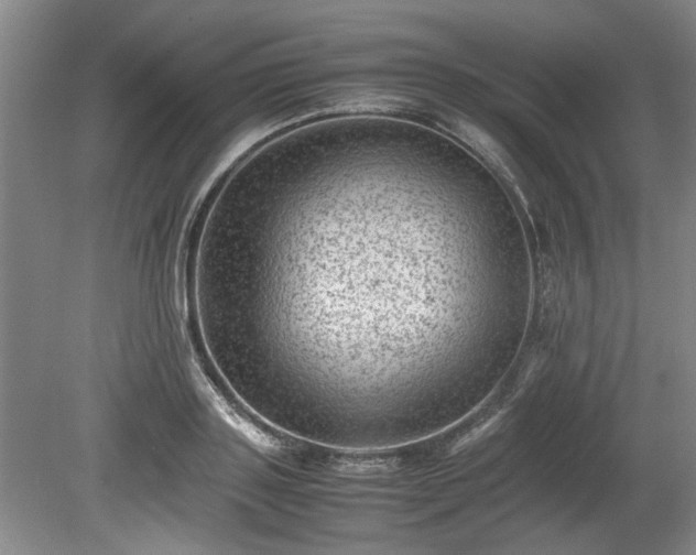 X0000078860843200611201311