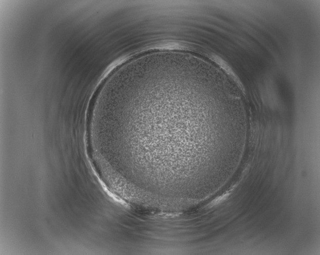 X0000078860845200611201311