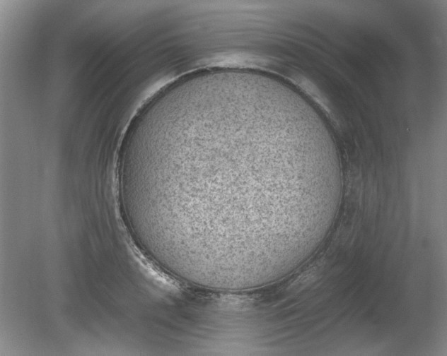 X0000078860848200611201311