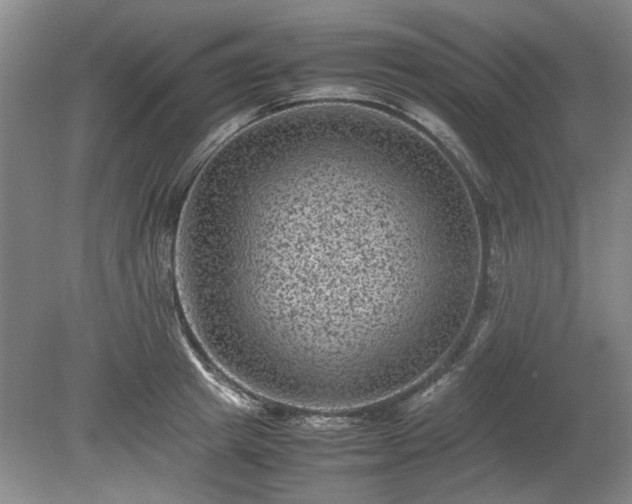 X0000078860849200611201311