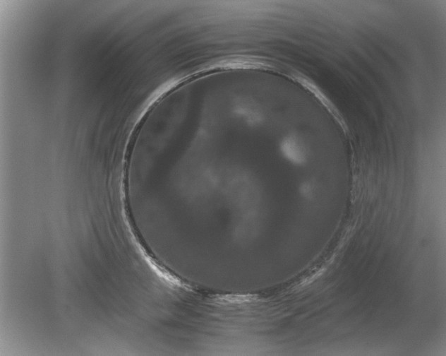 X0000078860853200611201311