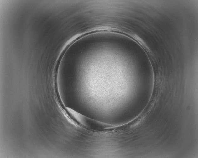 X0000078860854200611201311