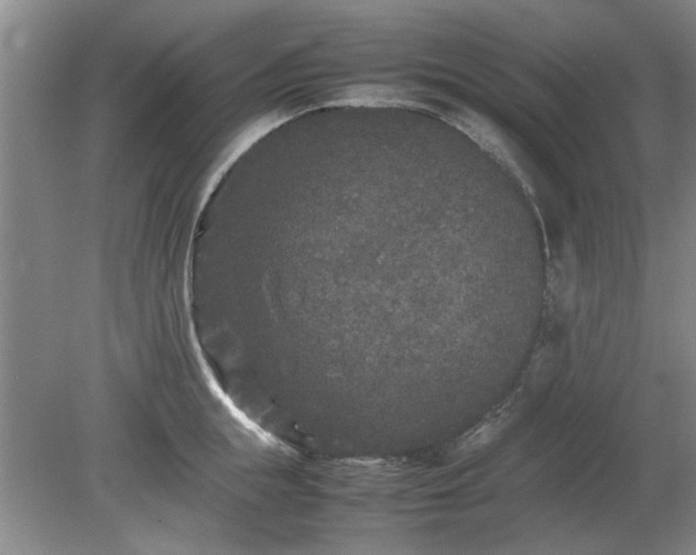 X0000078860855200611201311