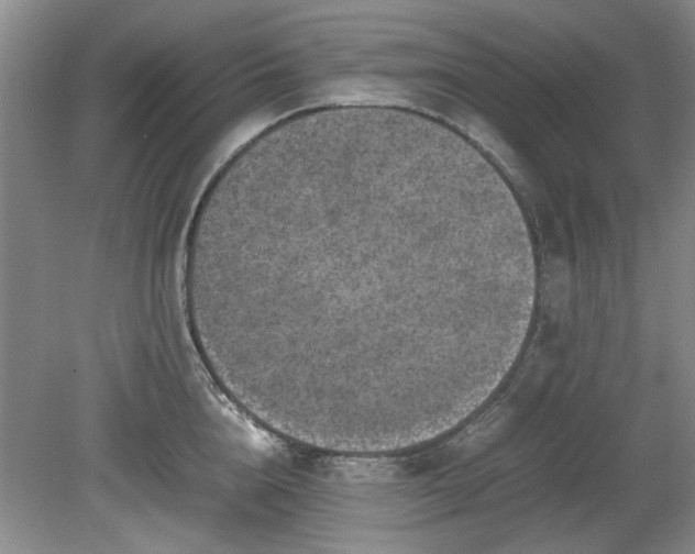 X0000078860856200611201311