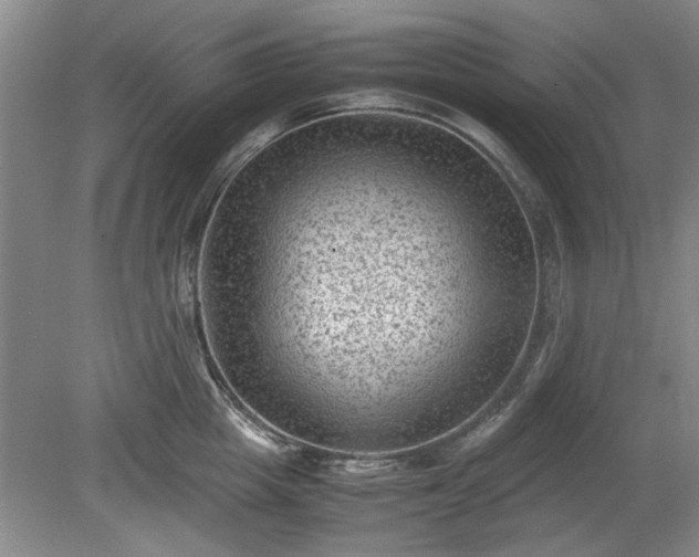 X0000078860857200611201311