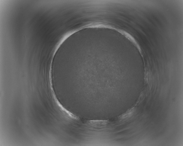 X0000078860863200611201312