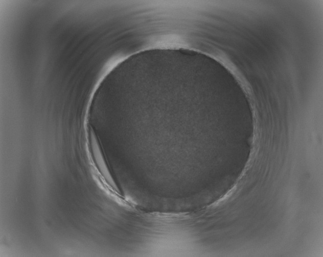 X0000078860864200611201312