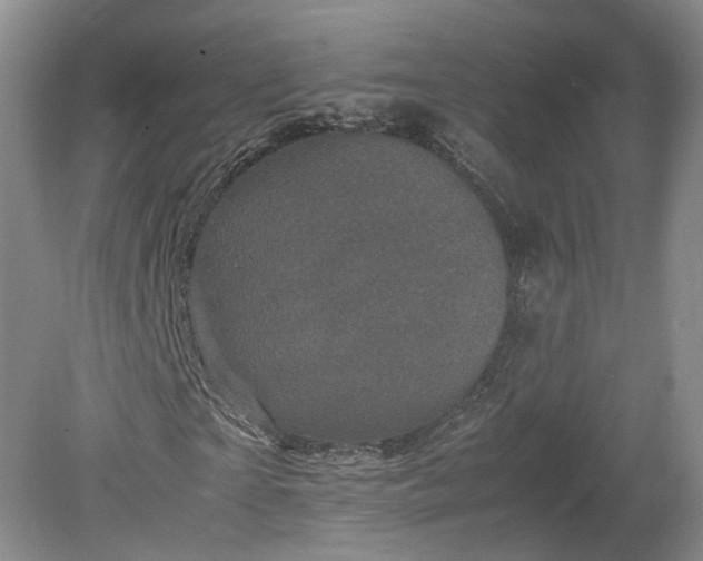 X0000078860865200611201311