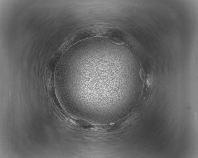 X0000078860867200611201311