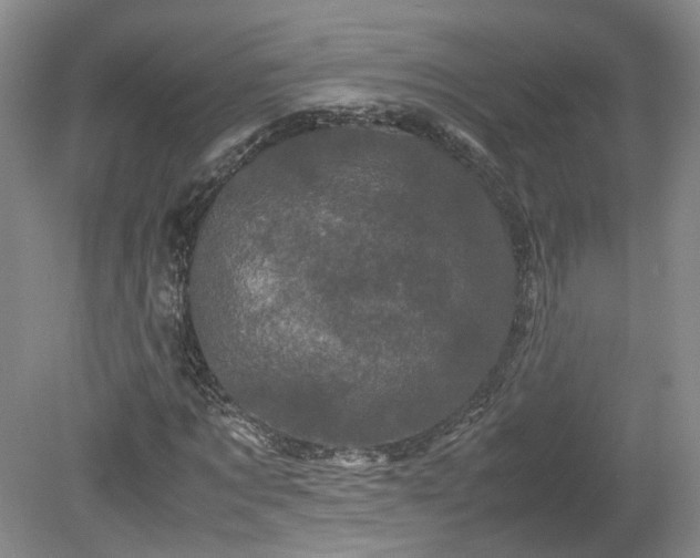 X0000078860869200611201311