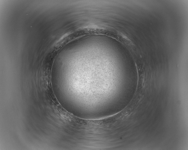 X0000078860870200611201311