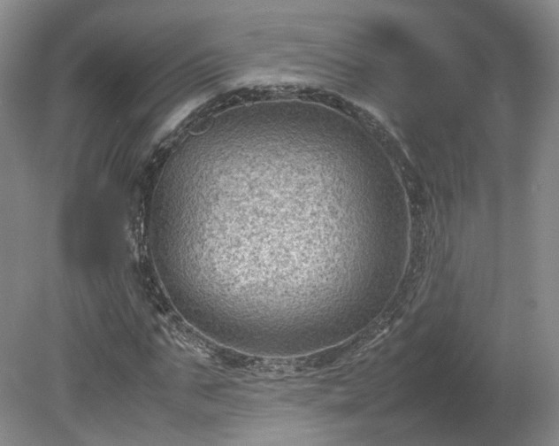 X0000078860871200611201311