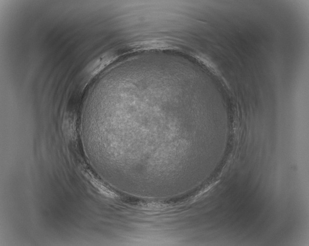 X0000078860873200611201311