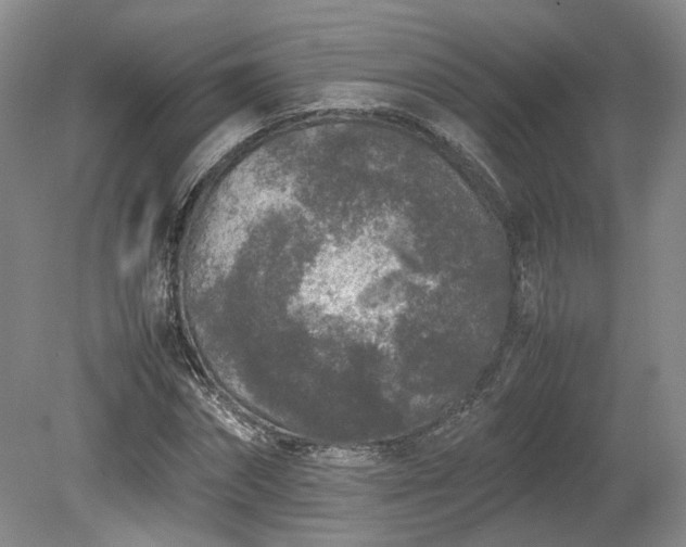 X0000078860874200611201311