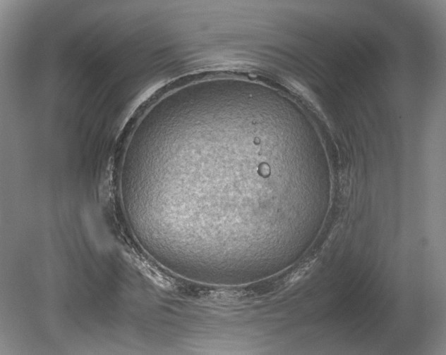 X0000078860875200611201311