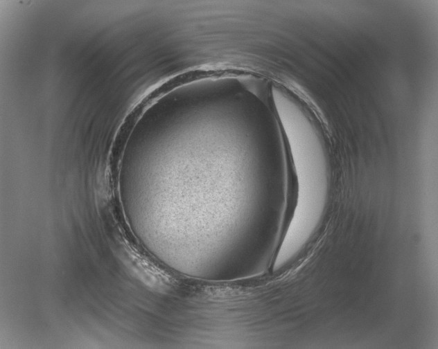 X0000078860876200611201311