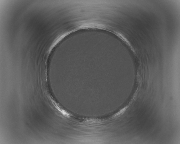 X0000078860877200611201311