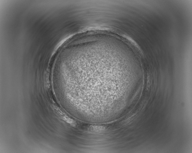 X0000078860878200611201310