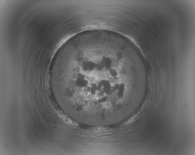 X0000078860879200611201310