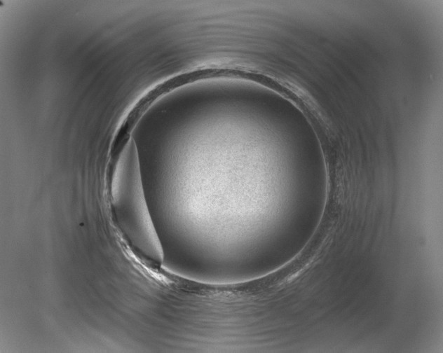 X0000078860880200611201310