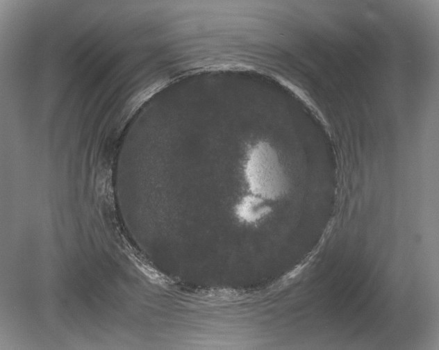 X0000078860881200611201310