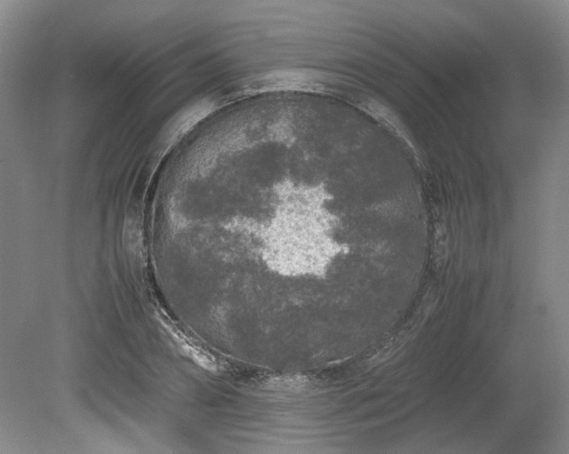 X0000078860882200611201310