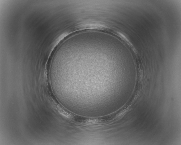 X0000078860883200611201310