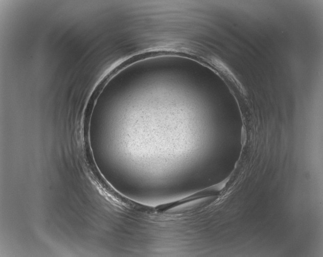 X0000078860884200611201310