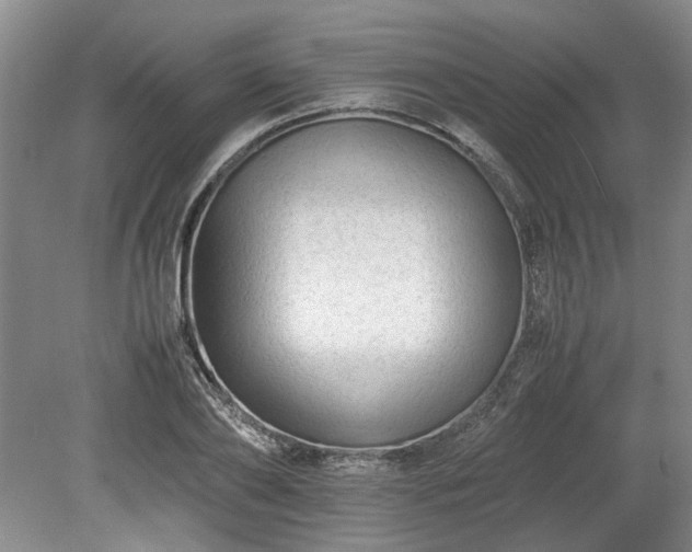 X0000078860886200611201310