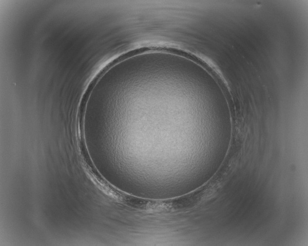 X0000078860887200611201310